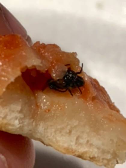 Romas Pizza Rougemont | restaurant | 202 Red Mountain Rd, Rougemont, NC 27572, USA | 9194777662 OR +1 919-477-7662