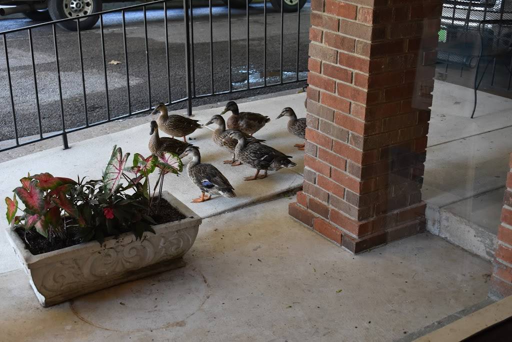 Serendipity Bar and Grill | restaurant | 1249 Country Club Rd, Brownsville, TN 38012, USA | 7317342014 OR +1 731-734-2014