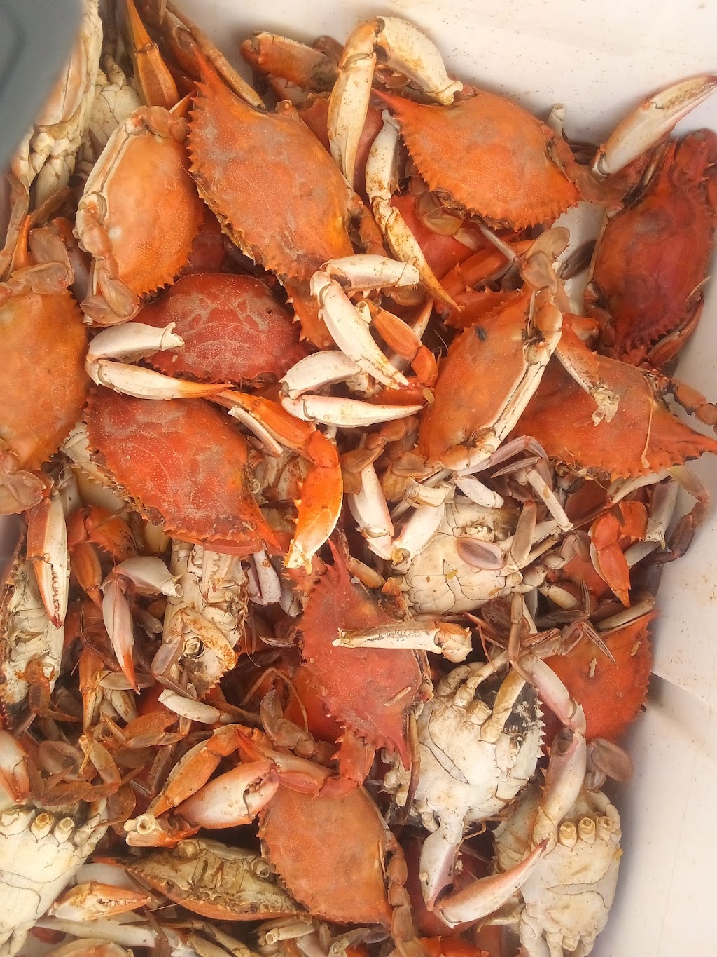 Weezies Seafood | restaurant | 1303 Moss St, Lafayette, LA 70501, USA | 3373661811 OR +1 337-366-1811