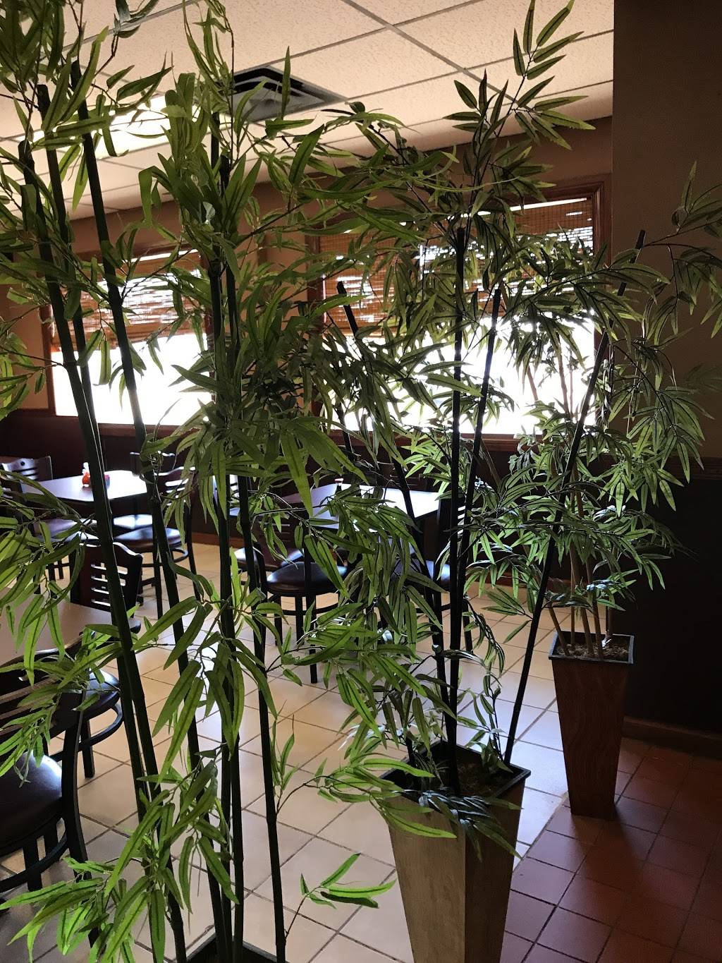 Mandarin Cafe | restaurant | 2602 Charlestown Rd, New Albany, IN 47150, USA | 8129456789 OR +1 812-945-6789