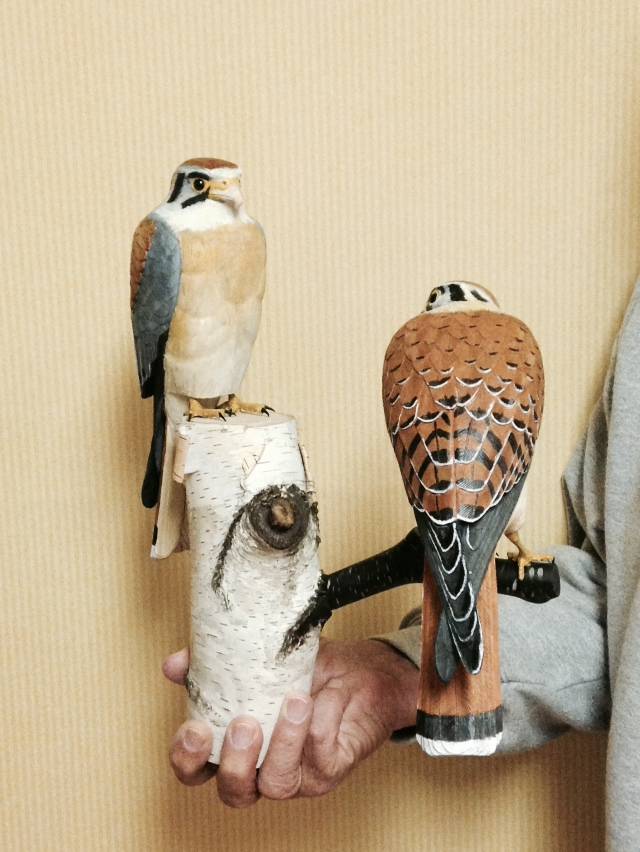 El Korita Restaurant & Marisco | restaurant | 3107 N Orange Blossom Trail, Zellwood, FL 32798, USA | 4078149933 OR +1 407-814-9933