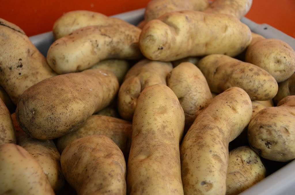 Nanas Hotdogs Of Elmhurst | restaurant | 582 W Lake St, Elmhurst, IL 60126, USA | 6303593507 OR +1 630-359-3507