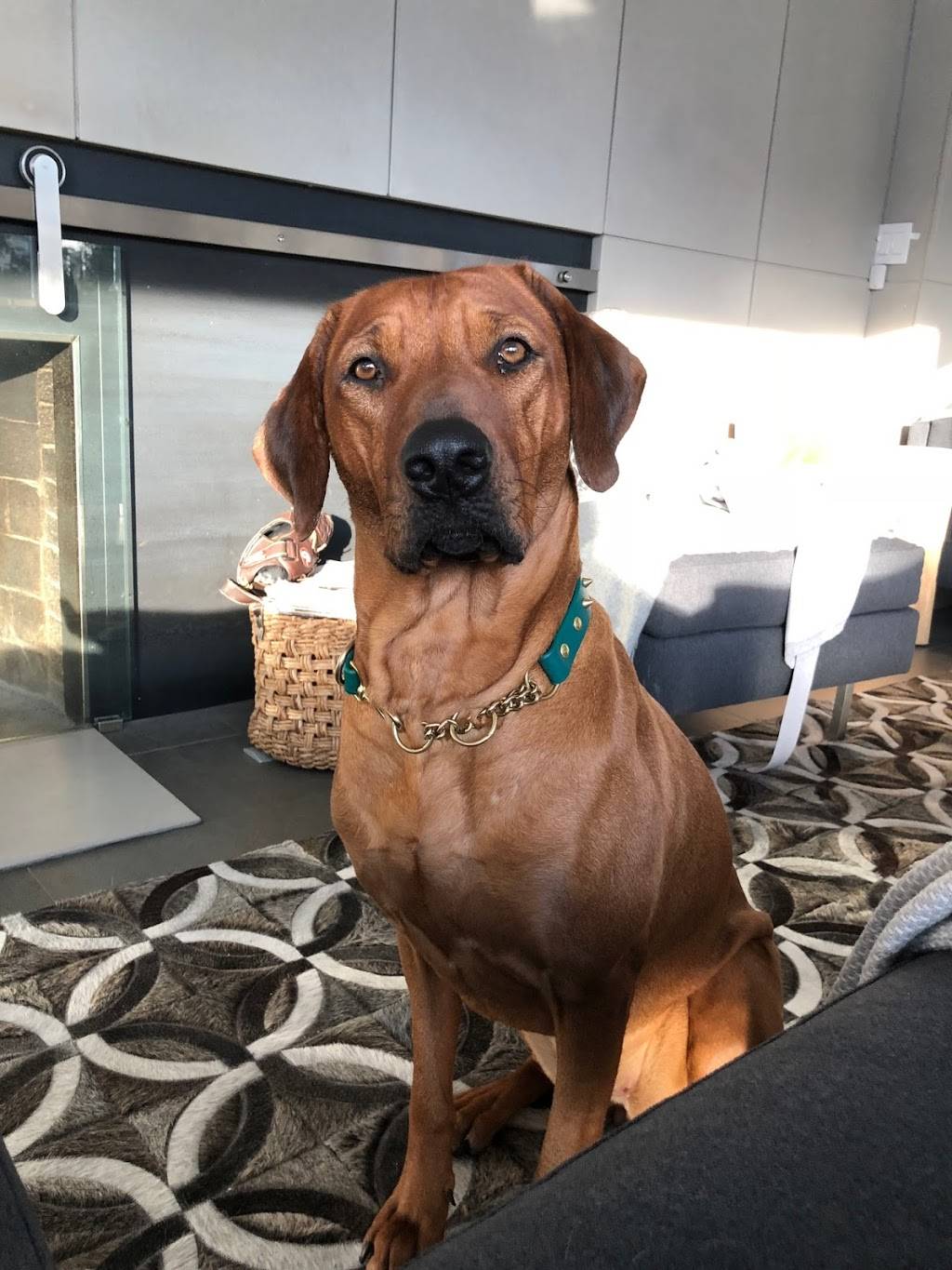 Kaskazini Kitchen | restaurant | 881 Turnpike Rd, East Meredith, NY 13757, USA | 6077468874 OR +1 607-746-8874