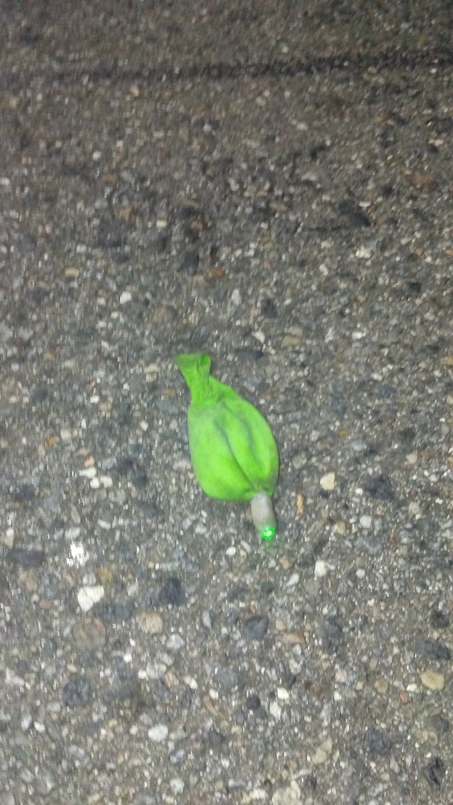 CK Mart | restaurant | 8120 Woodville Hwy, Tallahassee, FL 32305, USA | 8504211262 OR +1 850-421-1262