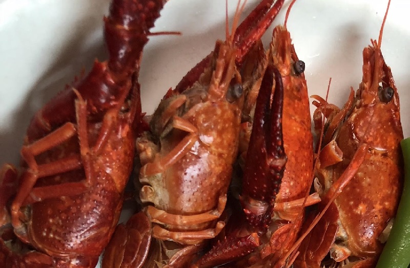 Silverado’s | restaurant | 112 2nd St, Piqua, KS 66761, USA | 6204682132 OR +1 620-468-2132