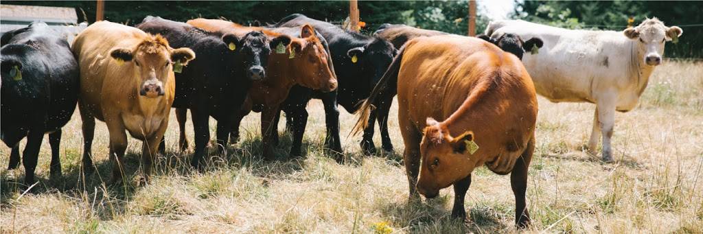 Great State Burger | restaurant | 3600 NE 45th St, Seattle, WA 98105, USA | 2067758990 OR +1 206-775-8990