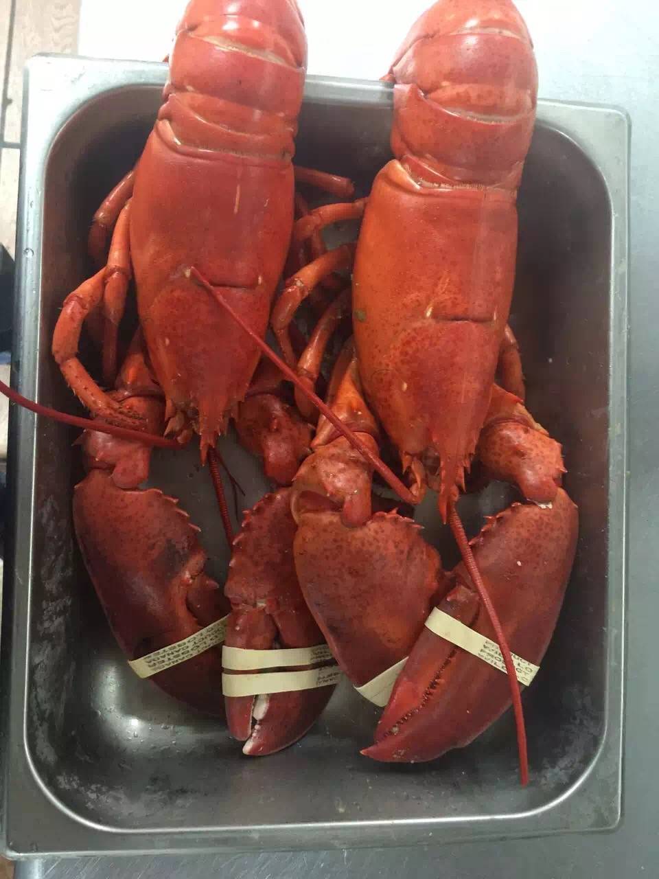 China Garden | restaurant | 108 Main St, Hempstead, NY 11550, USA | 5164863331 OR +1 516-486-3331