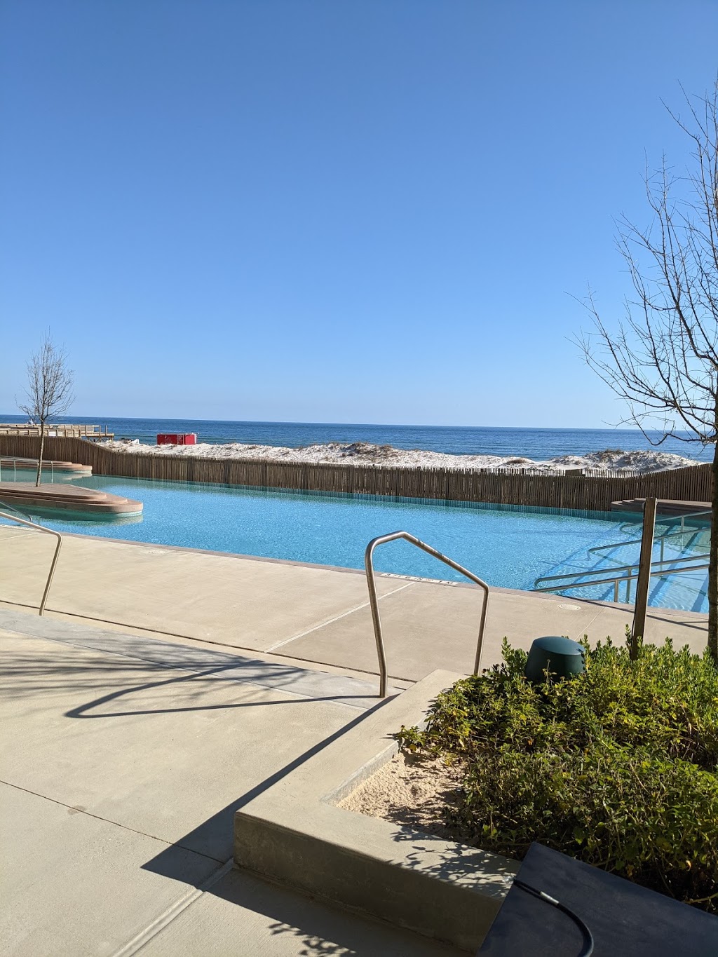 The Dragonfly | restaurant | 21196 E Beach Blvd, Gulf Shores, AL 36542, USA | 2519232941 OR +1 251-923-2941