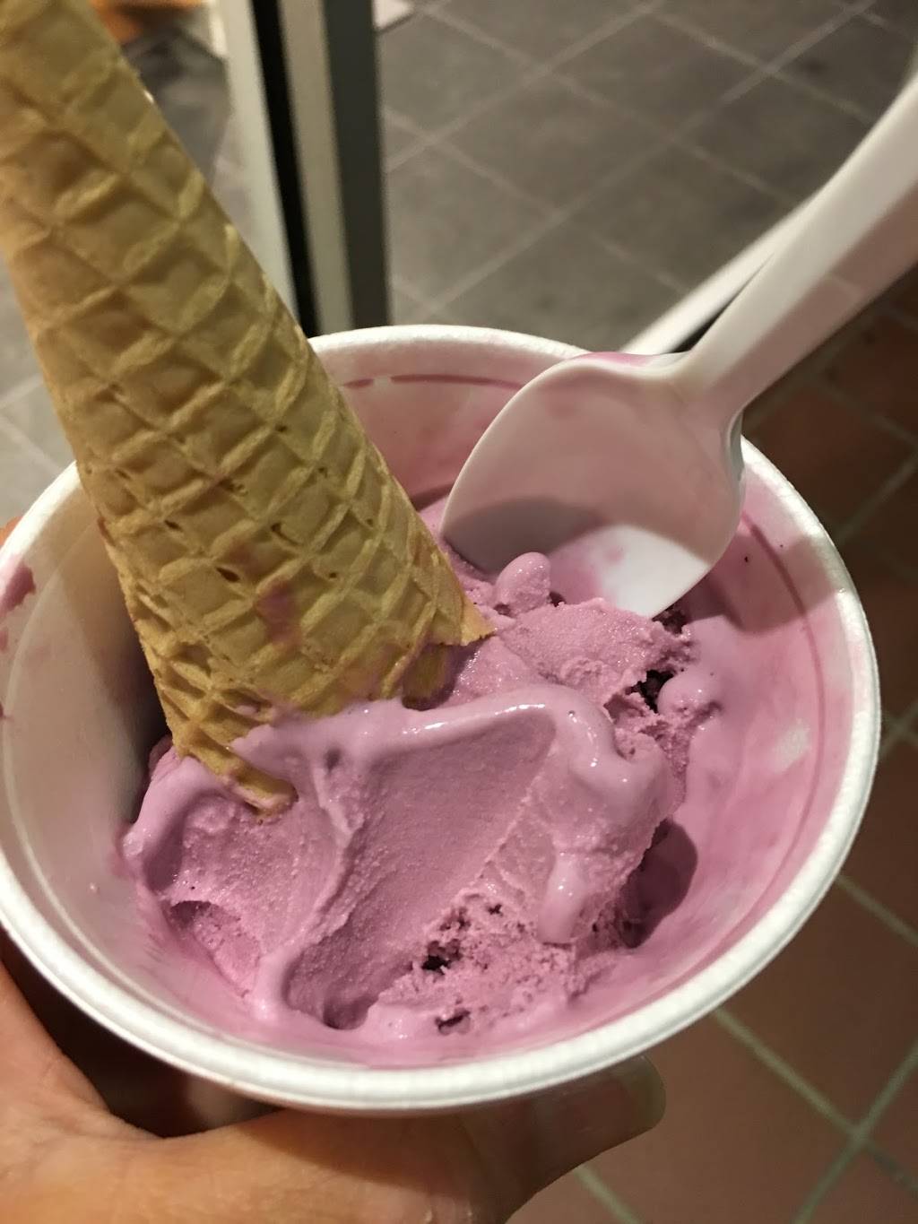 Ice Cream & Yogurt Club | restaurant | Manalapan, FL 33462, USA | 5615820778 OR +1 561-582-0778