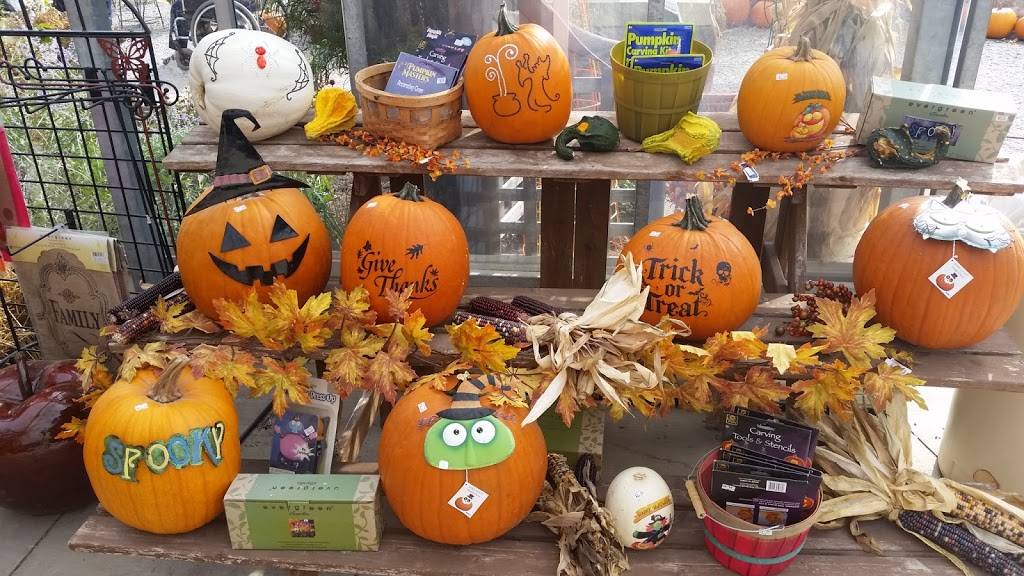 Fashion Farm Inc | restaurant | 1680 Lincolnway W, Ligonier, IN 46767, USA | 2608944498 OR +1 260-894-4498