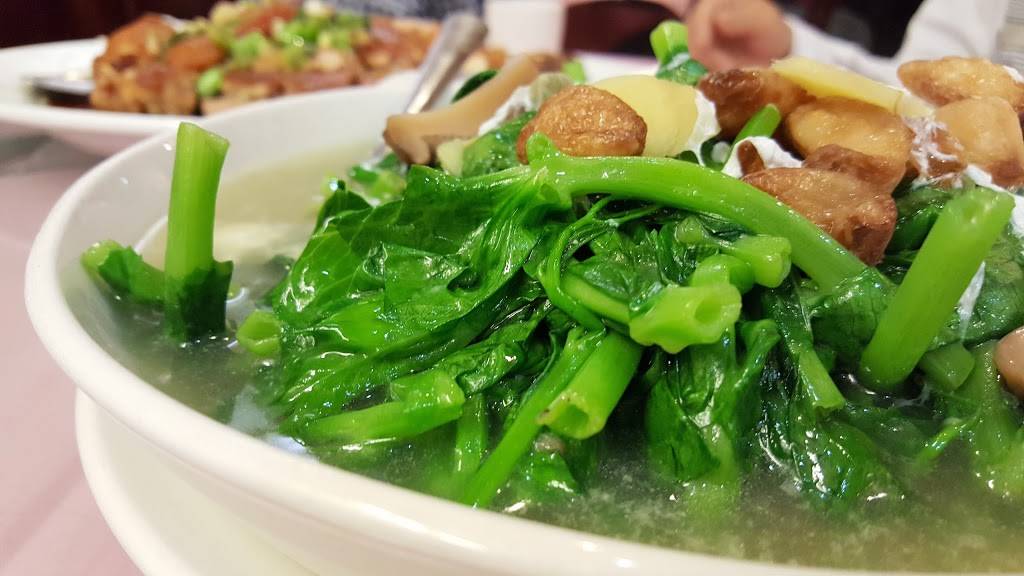 China Gourmet | restaurant | 2842 St Vincent St, Philadelphia, PA 19149, USA | 2159411898 OR +1 215-941-1898