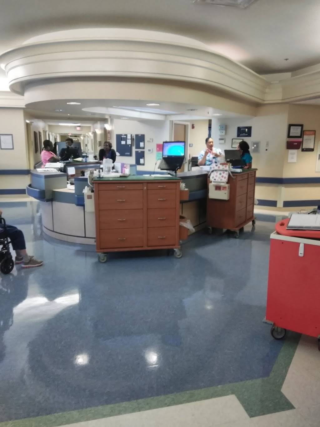 Little Caesars Pizza | meal takeaway | 1315 E Fletcher Ave Space 15, Tampa, FL 33612, USA | 8139719105 OR +1 813-971-9105