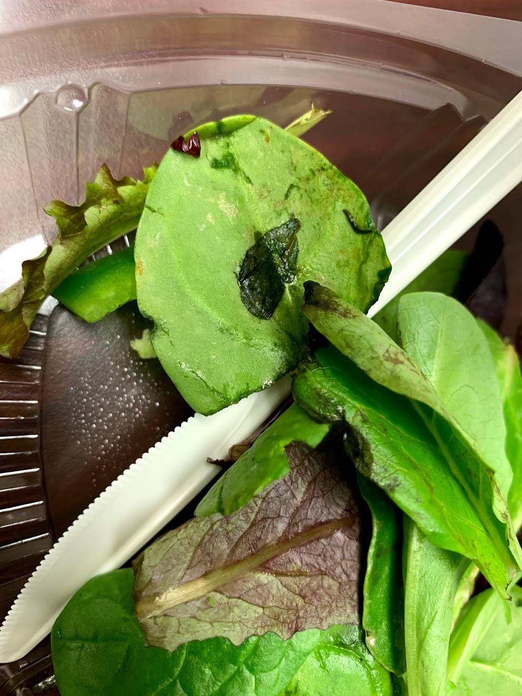 Orion Gourmet Take Away | restaurant | 8837 Greenbelt Rd, Greenbelt, MD 20770, USA | 3015524600 OR +1 301-552-4600