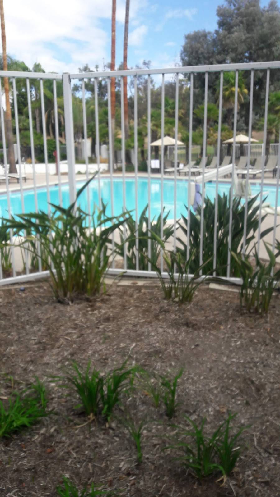 Asado Grill | restaurant | 14455 Penasquitos Dr, San Diego, CA 92129, USA | 8586729100 OR +1 858-672-9100