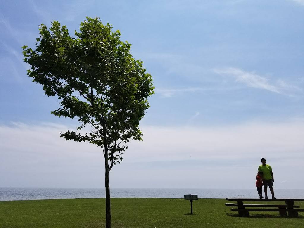 Little Vinnys Drive-in | restaurant | 4228 Pointe Aux Peaux Rd, Newport, MI 48166, USA | 7343843148 OR +1 734-384-3148