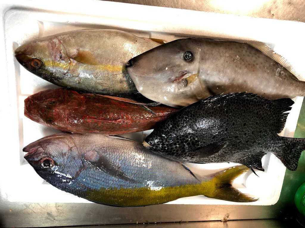 Khans | restaurant | 237 4th Ave N, Nashville, TN 37219, USA | 6157305519 OR +1 615-730-5519