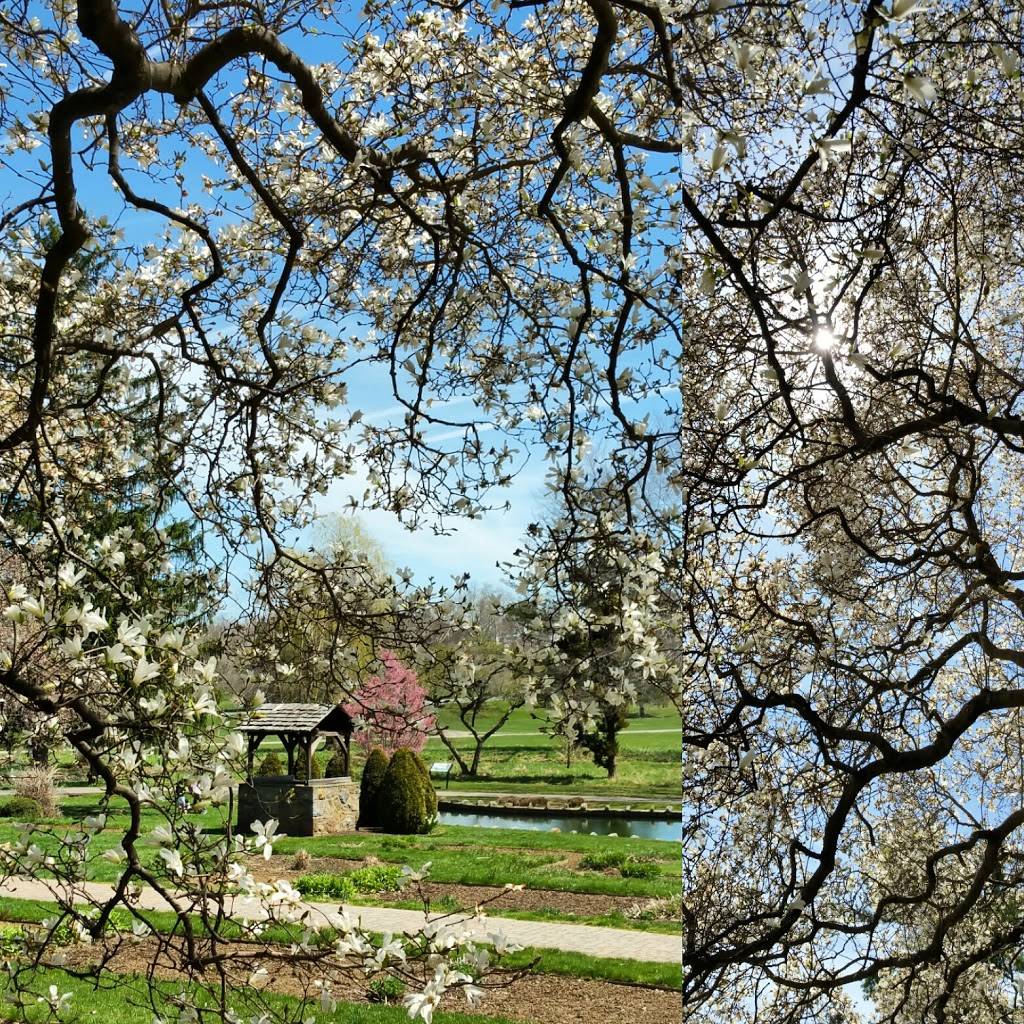 The Allentown Bethlehem Goose | restaurant | 2501 Willow Park Rd, Bethlehem, PA 18020, USA | 6109047140 OR +1 610-904-7140