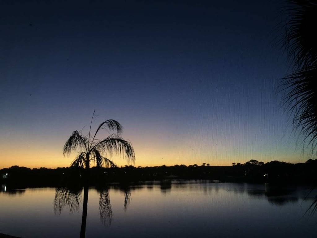 China Wok Restaurant | restaurant | 2536 Maguire Rd, Ocoee, FL 34761, USA | 4078770088 OR +1 407-877-0088