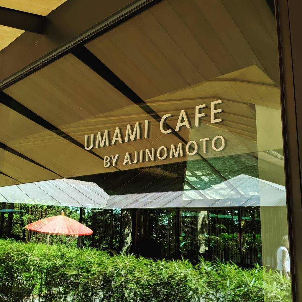 Umami Cafe | cafe | 611 SW Kingston Dr, Portland, OR 97205, USA | 5032231321 OR +1 503-223-1321