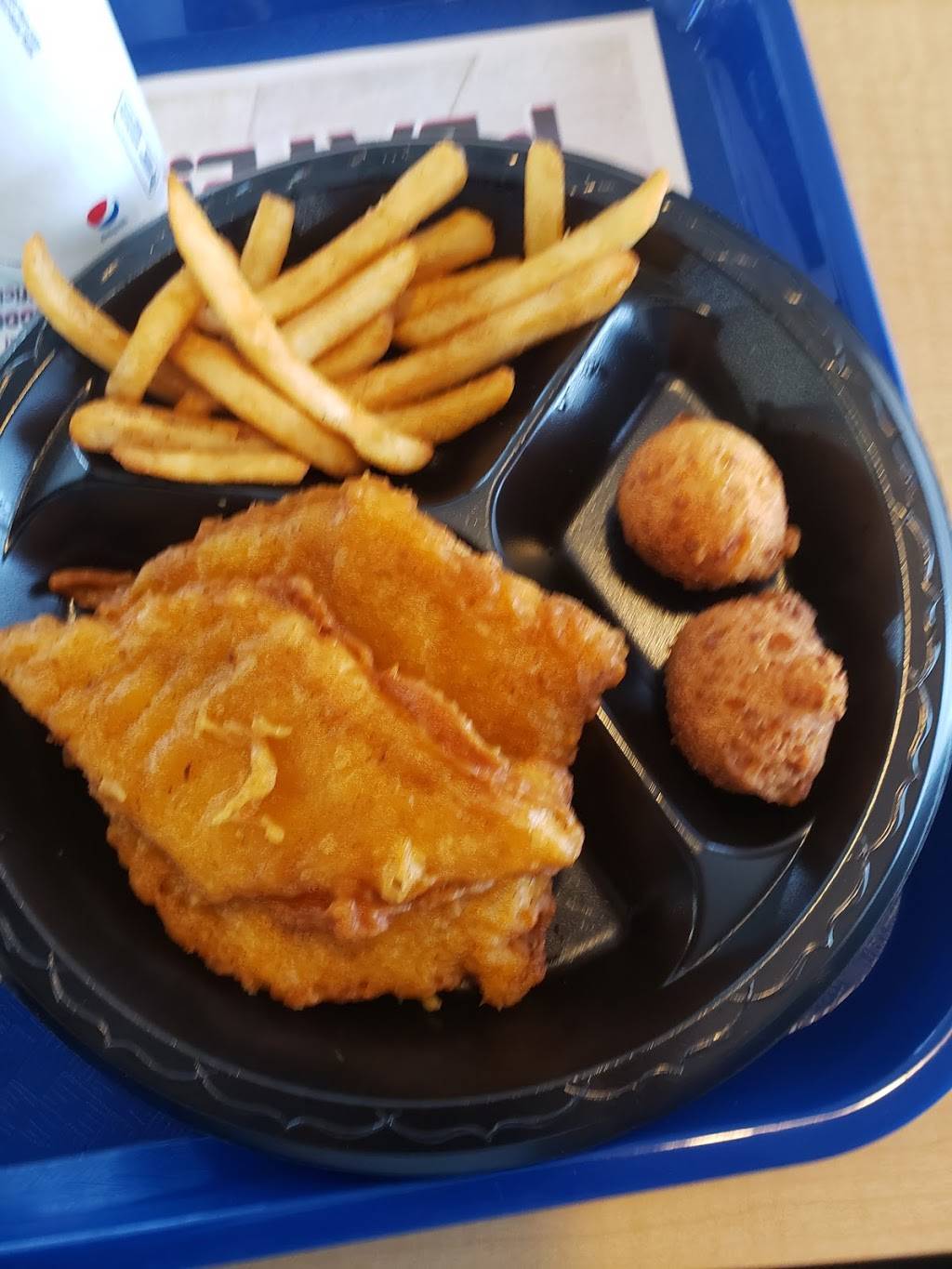 Long John Silvers | restaurant | 2799 W Oakland Park Blvd, Fort Lauderdale, FL 33311, USA | 9544866043 OR +1 954-486-6043