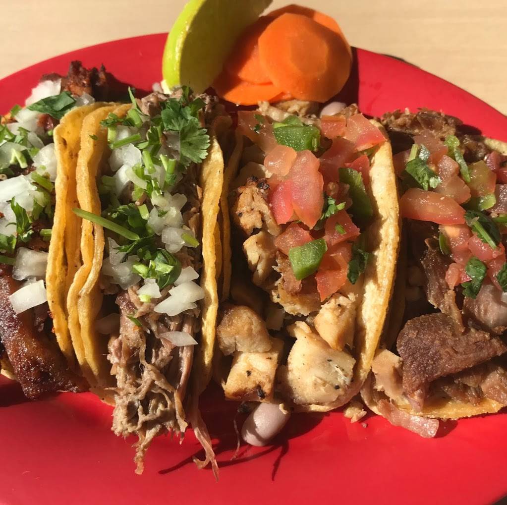 Mexico Tortilla Factory | restaurant | 3640, 7015 Thornton Ave, Newark, CA 94560, USA | 5107929909 OR +1 510-792-9909