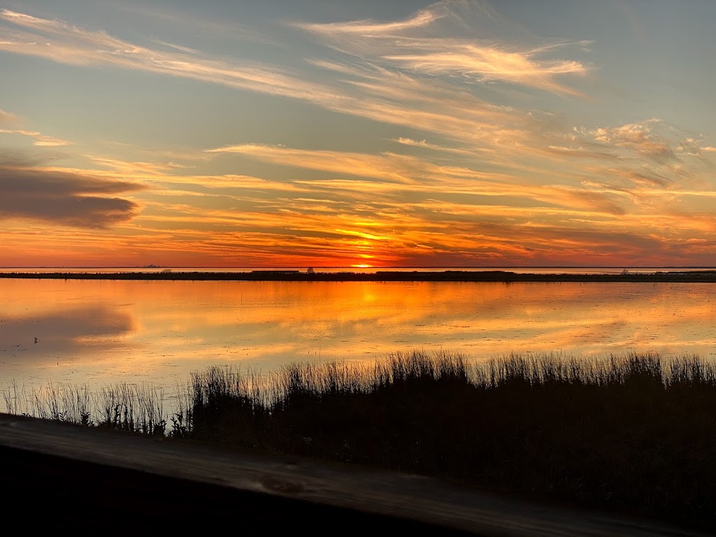 Boudreauxs Cajun Grill | restaurant | 29249 US-98, Daphne, AL 36526, USA | 2516211991 OR +1 251-621-1991