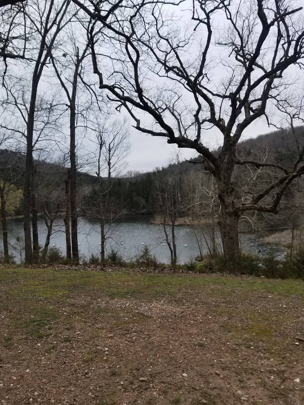 Sonic Drive-In | restaurant | 303 W Hudson Rd, Rogers, AR 72756, USA | 4796368507 OR +1 479-636-8507