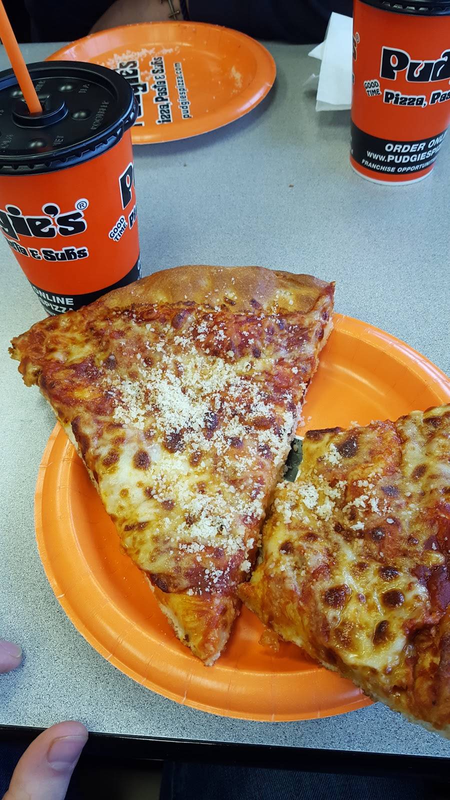 Pudgies Pizza | restaurant | 228 Vestal Pkwy E, Vestal, NY 13850, USA | 6077570001 OR +1 607-757-0001