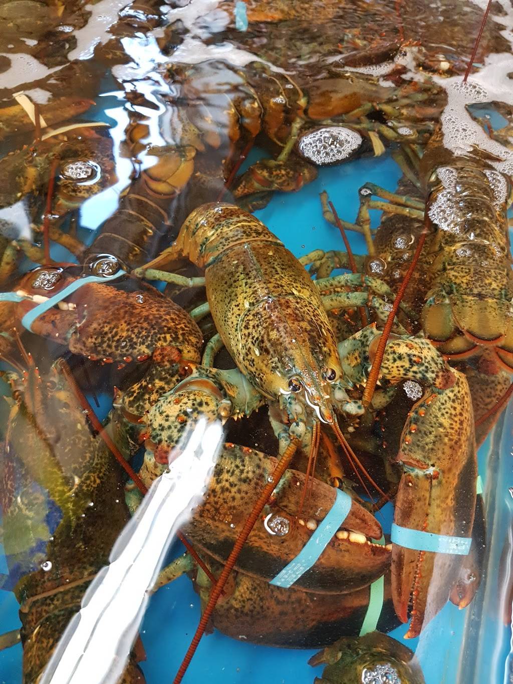 Le Poisson Volant | restaurant | 584 Chemin de Saint-Jean, La Prairie, QC J5R 2L1, Canada | 4504448821 OR +1 450-444-8821