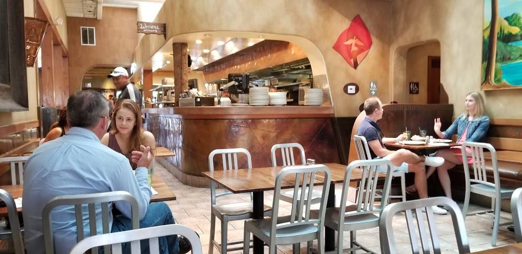 Aqui Willow Glen | restaurant | 1145 Lincoln Ave, San Jose, CA 95136, USA | 4089950381 OR +1 408-995-0381