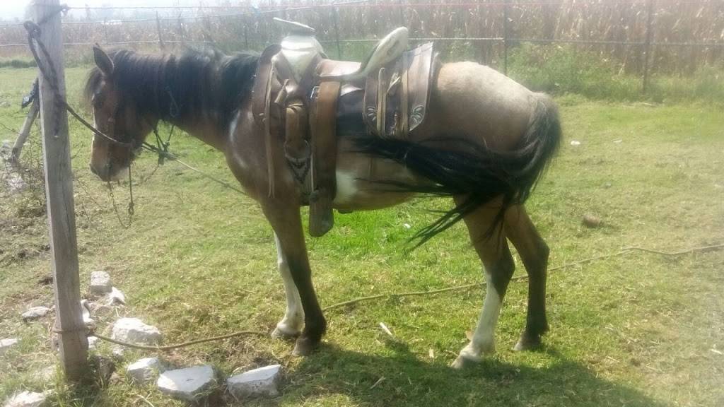 Vanilla Cafe Pastry Garden | restaurant | 8701 Roosevelt Ave, Flushing, NY 11372, USA | 7185070807 OR +1 718-507-0807