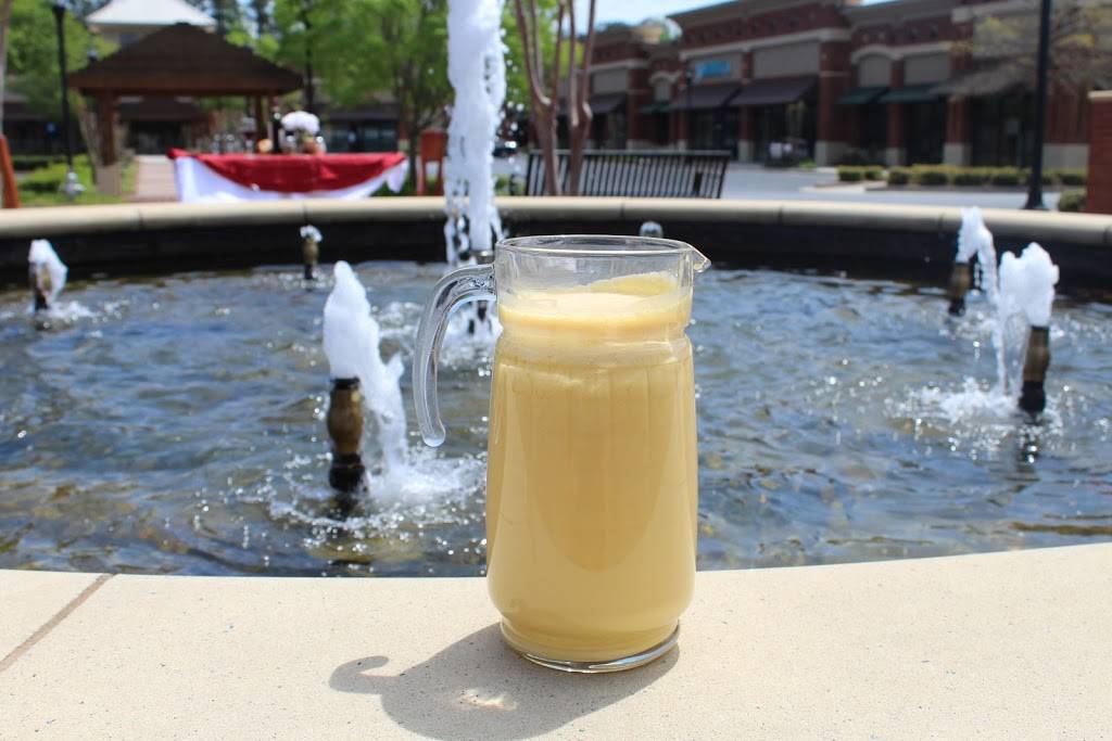 Indian Oven | restaurant | suite 202 1240 Hwy 54 W, Fayetteville, GA 30214, USA | 6789615359 OR +1 678-961-5359