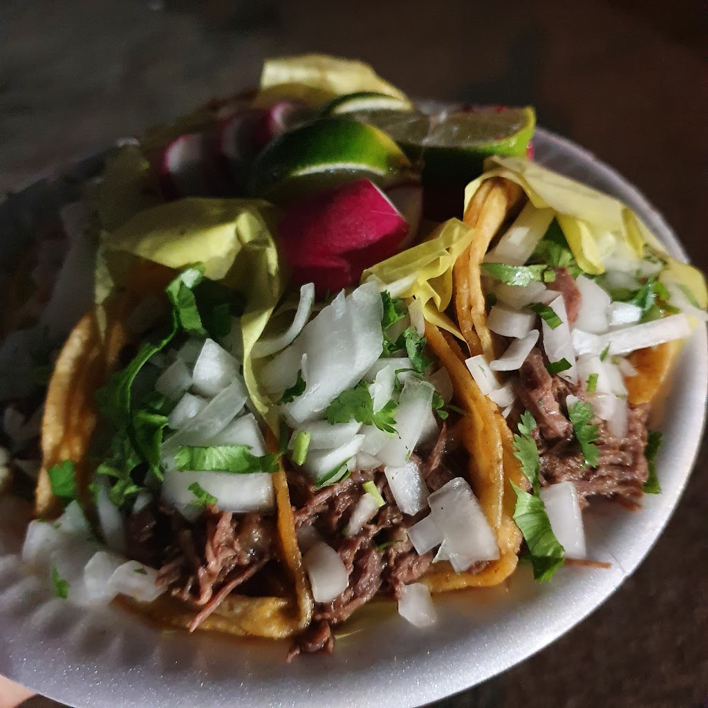 Birrieria Gonzalez Food Truck | restaurant | 13346 Valley Blvd, La Puente, CA 91746, USA | 6267223537 OR +1 626-722-3537