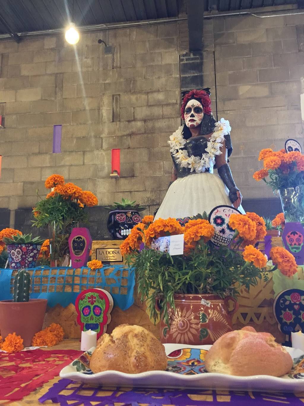 La Doña Cervecería | restaurant | 241 Fremont Ave N, Minneapolis, MN 55405, USA | 6123154613 OR +1 612-315-4613