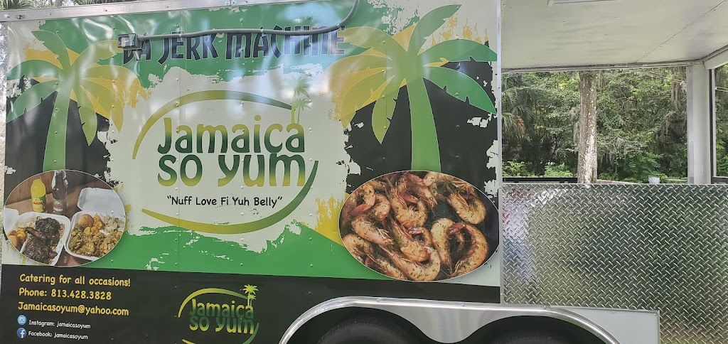 Jamaica So yum | restaurant | 10865 Cross Creek Blvd, Tampa, FL 33647, USA | 5165036655 OR +1 516-503-6655