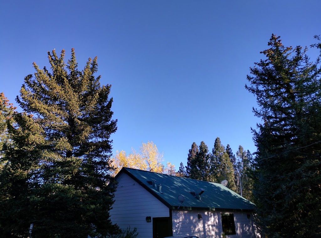 Gold Ranch RV Resort | restaurant | 320 Gold Ranch Rd, Verdi, NV 89439, USA | 7753458880 OR +1 775-345-8880