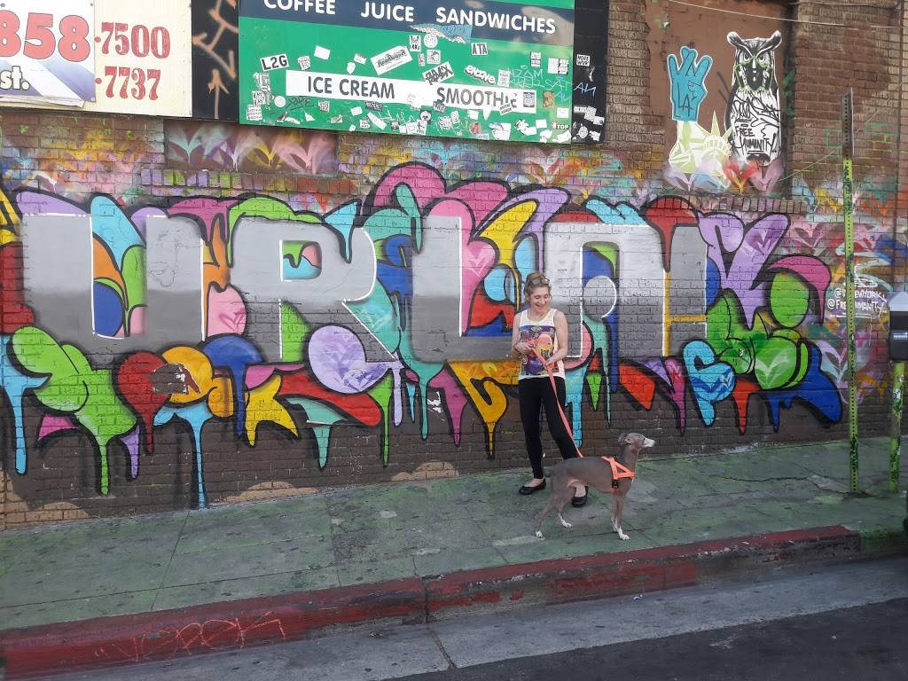 Subway Restaurants | restaurant | 425 S Los Angeles St F, Los Angeles, CA 90013, USA | 2136260560 OR +1 213-626-0560