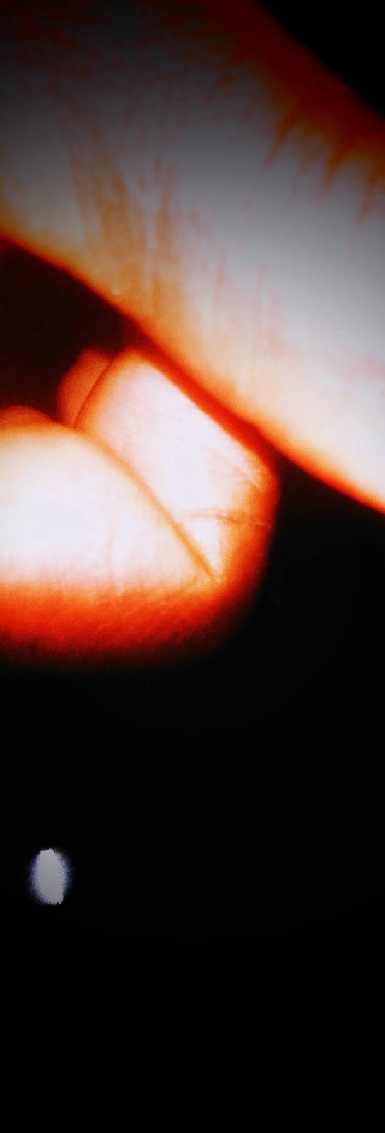 Mandarin Village | restaurant | 8952 Cleary Blvd, Plantation, FL 33324, USA | 9546930998 OR +1 954-693-0998