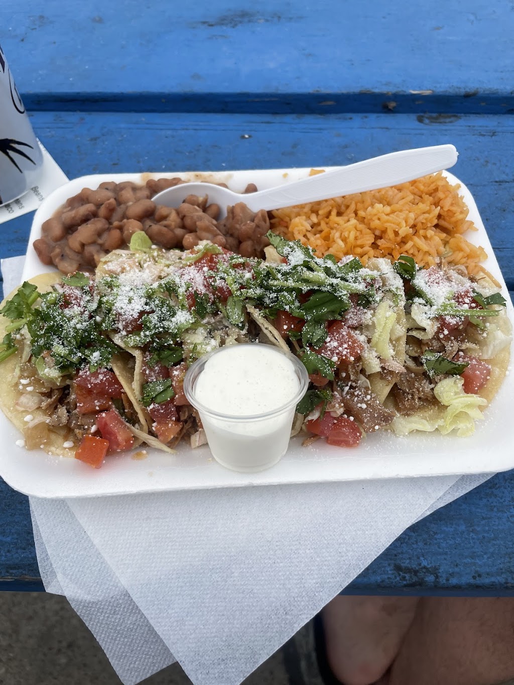 The CAM Shack | restaurant | 1201 Padre Blvd, South Padre Island, TX 78597, USA | 9565436743 OR +1 956-543-6743