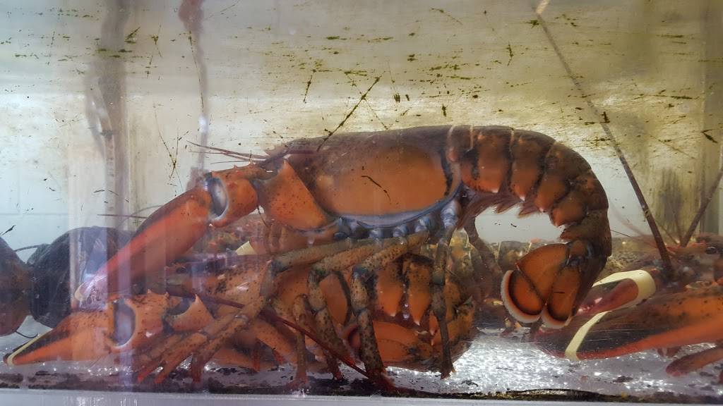 Cuisine Delmar | restaurant | 445 Lonsdale Ave, Pawtucket, RI 02860, USA | 4017210823 OR +1 401-721-0823