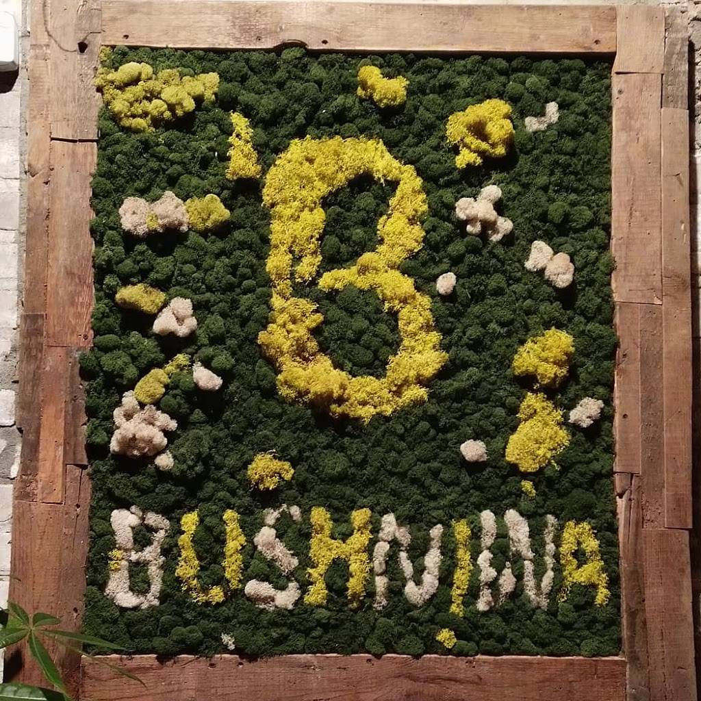 Bushniwa | restaurant | 250 Varet St, Brooklyn, NY 11206, USA | 7183868886 OR +1 718-386-8886