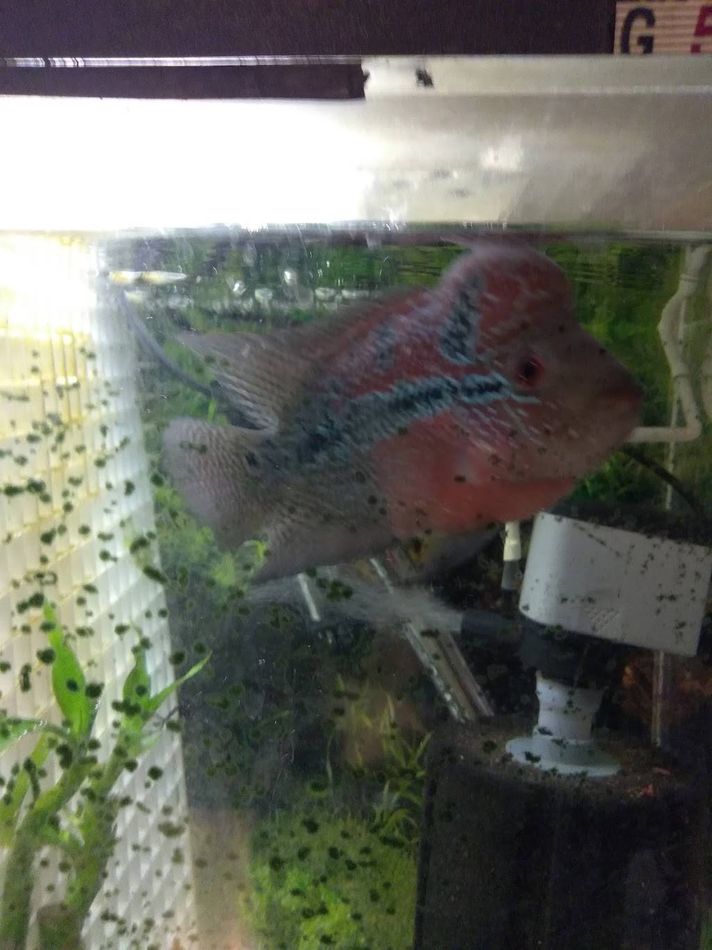 Sing Yee Restaurant | restaurant | 379 Turnpike St, South Easton, MA 02375, USA | 5082389881 OR +1 508-238-9881