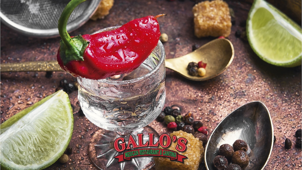 Gallos Mexican Restaurant | restaurant | 8311 Arctic Blvd, Anchorage, AK 99518, USA | 9073446735 OR +1 907-344-6735