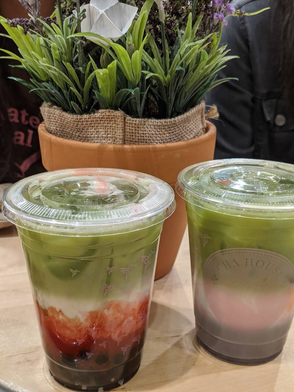 Cha House Raleigh | meal takeaway | 3001 Hillsborough St #108, Raleigh, NC 27607, USA | 9195941980 OR +1 919-594-1980