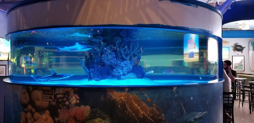 Alley Oops Midtown | restaurant | 5509 Coastal Hwy, Ocean City, MD 21842, USA | 4436647084 OR +1 443-664-7084