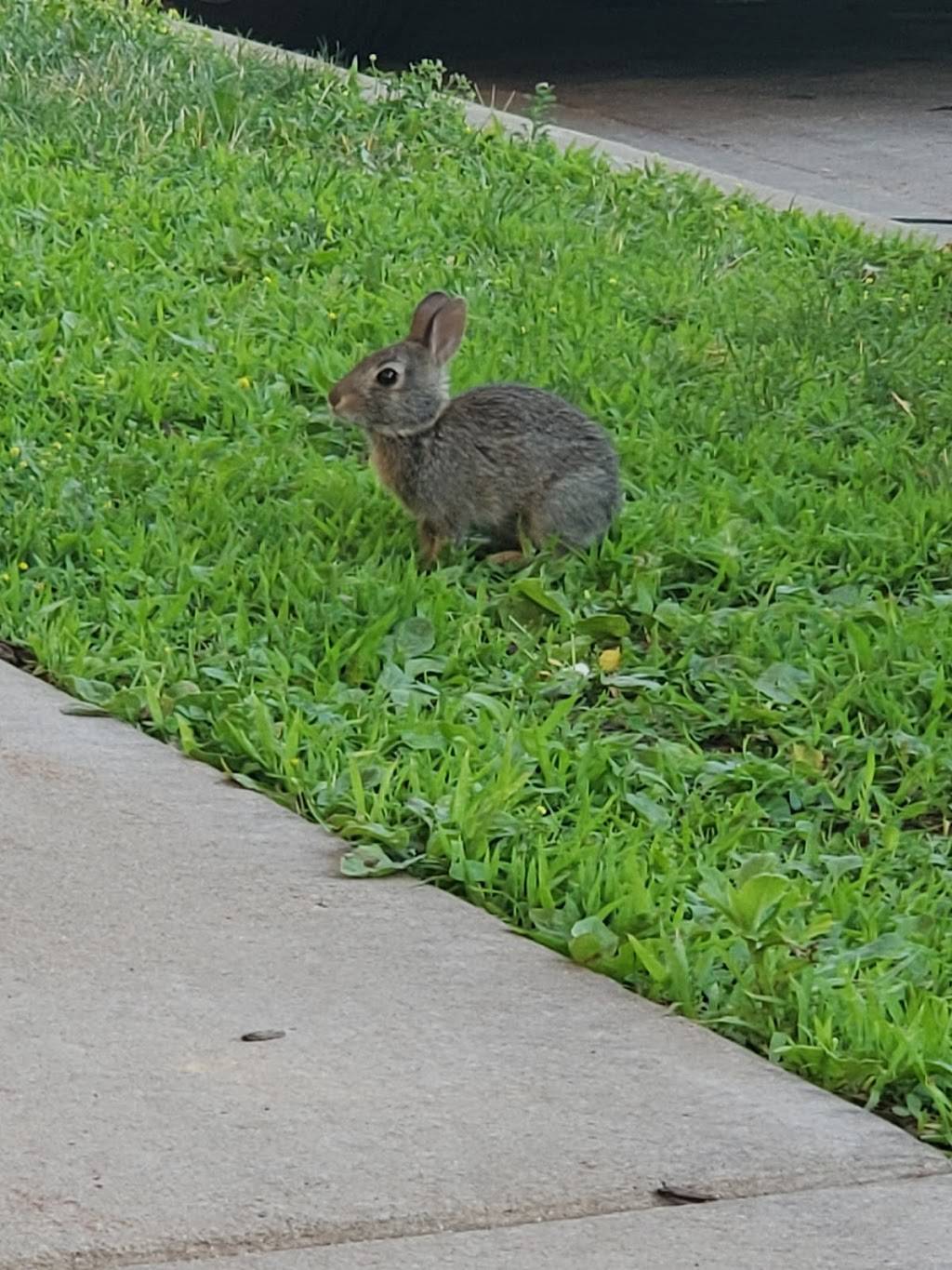 Silly Serrano Mexican Restaurant | restaurant | 329 Riverfront Terrace, Eau Claire, WI 54703, USA | 7155144300 OR +1 715-514-4300