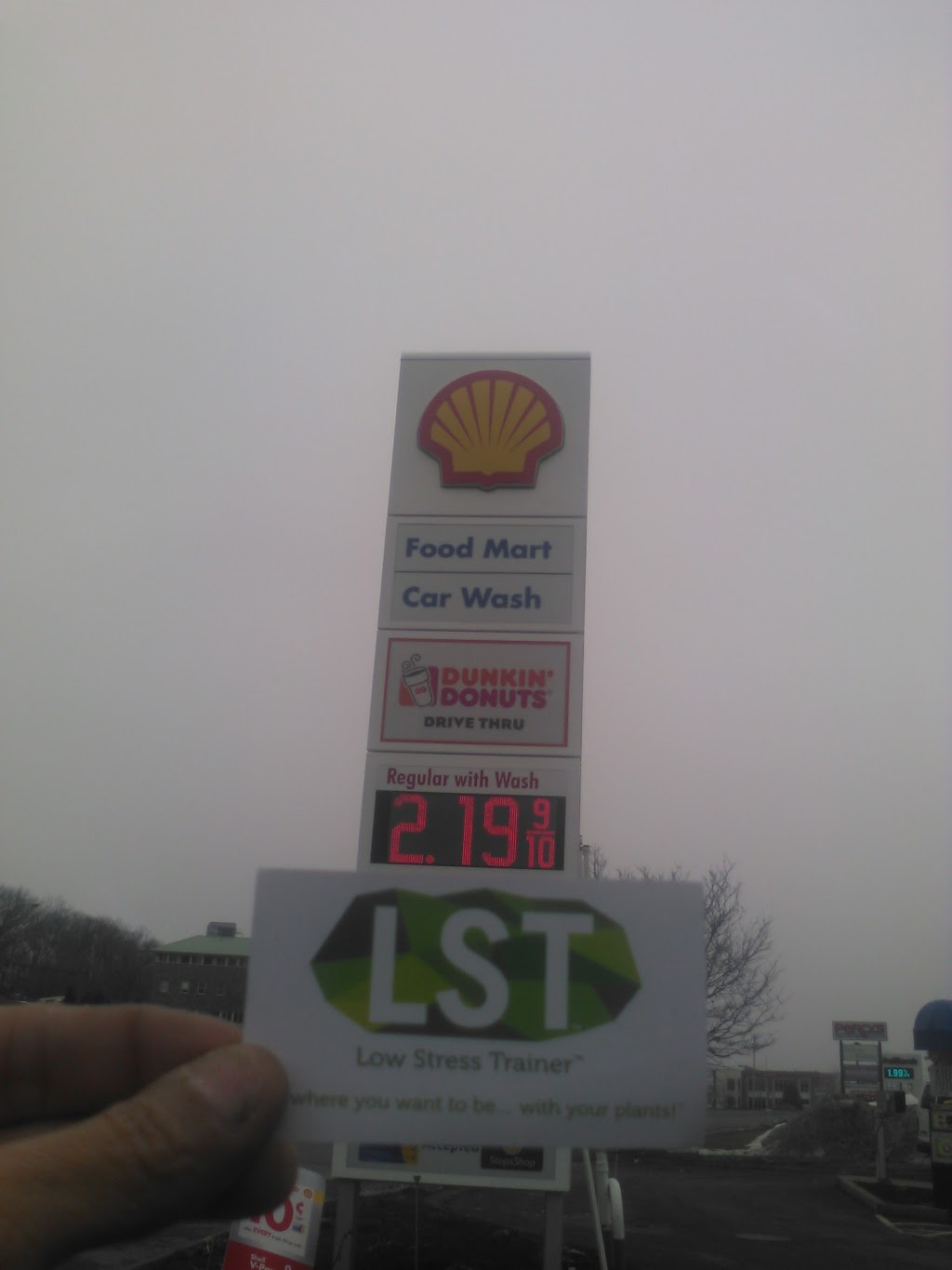 Nouria-Shell | meal takeaway | 340 Grove St, Worcester, MA 01605, USA | 5088317472 OR +1 508-831-7472