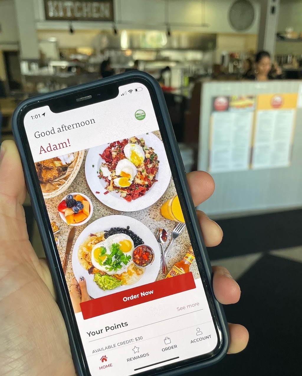 Sunrise Bistro Express | restaurant | 1050 Burnett Ave, Concord, CA 94520, USA | 9254481284 OR +1 925-448-1284