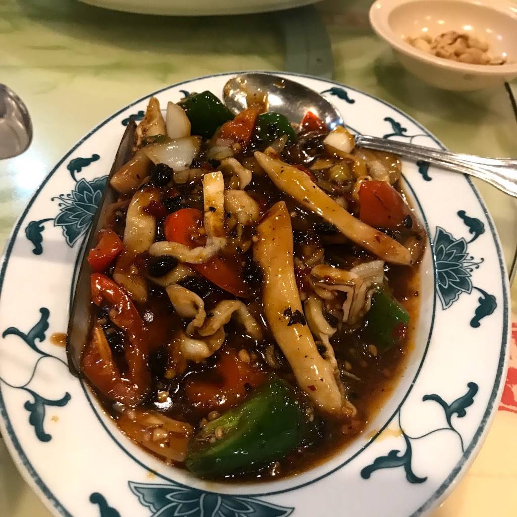 Dragon City | meal takeaway | 6706 Stirling Rd, Hollywood, FL 33024, USA | 9548948393 OR +1 954-894-8393