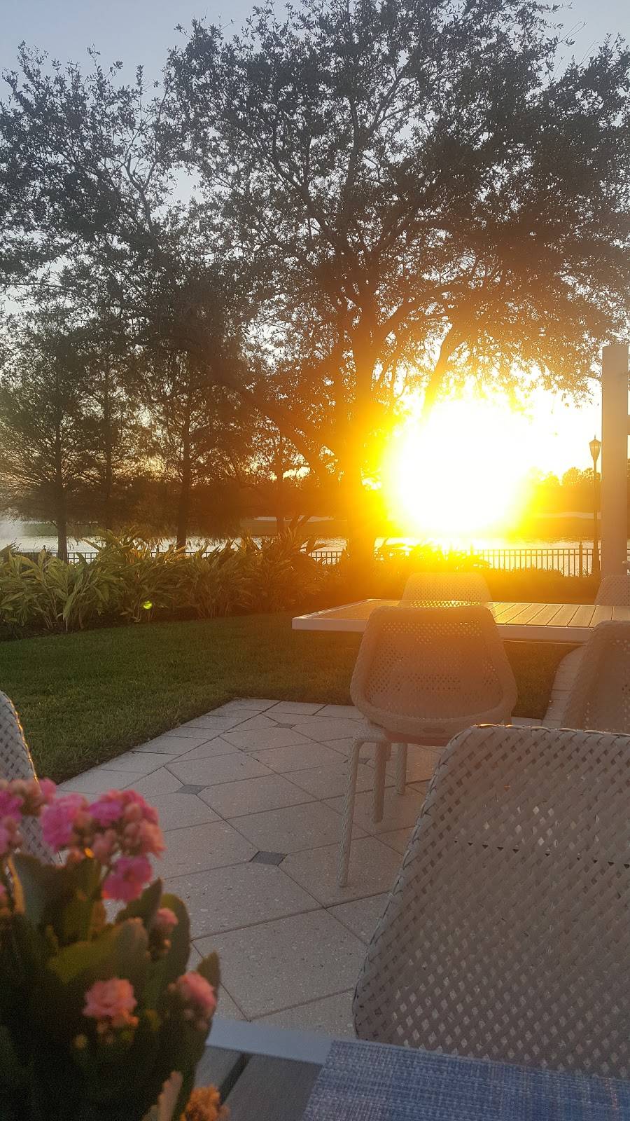 Bleu | restaurant | 4012 Central Florida Pkwy, Orlando, FL 32837, USA | 4072062400 OR +1 407-206-2400